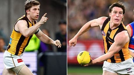 AFL star confesses he DECKED his teammate as training session was hit by multiple punch-ups