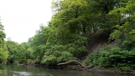 Body of teenage boy recovered from Glasgow river after major search