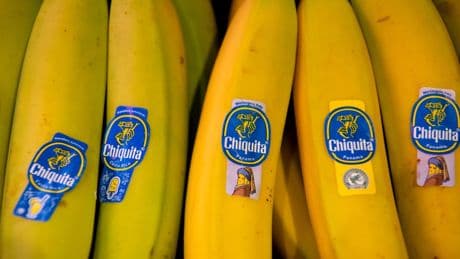 Chiquita entlässt 4900 seit April streikende Mitarbeiter in Panama
