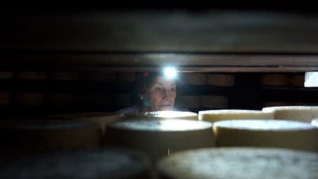 Der Schimmel macht´s - Dieser Käse kostet ein Vermögen