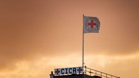 La Croix-Rouge alerte sur la forte hausse du nombre de disparus dans le monde