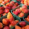 Aardbeienteelt verdubbelt naar 86 miljoen kilo, steeds meer fruit uit kas