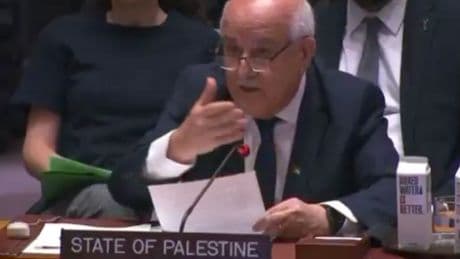 Palestinian ambassador calls for media to enter Gaza hours before Al Jazeera reporters killed