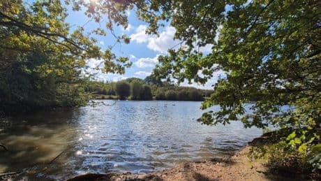 Man, 27, dies after drowning while swimming at Nuneaton beauty spot