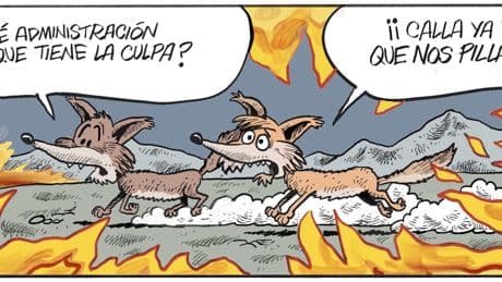 Idígoras y Pachi