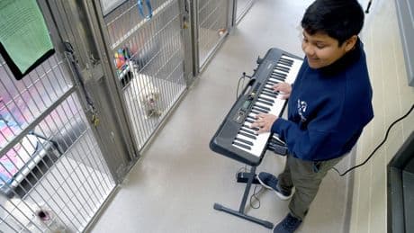 The 12-year-old boy who set up a charity for musicians to play songs to animals stuck in shelters
