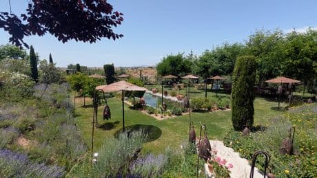 Así es Aal Cachucho: un oasis verde de tranquilidad al norte de Madrid entre campos de cereales