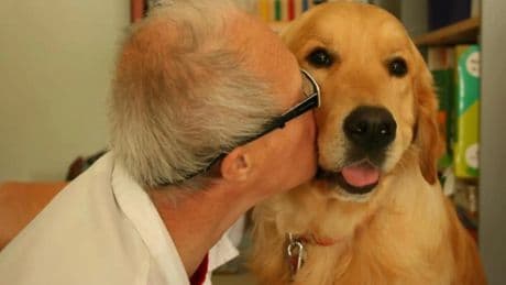 Convivir con un perro o gato podría ralentizar el deterioro cognitivo, según el mayor estudio europeo