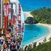 Japan has been dubbed the 'new Hawaii' - with unspoilt beaches and forests