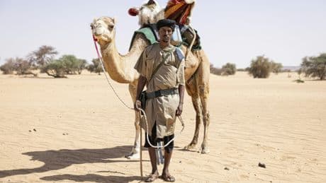 Désert mauritanien: ces méharistes qui font face aux jihadistes