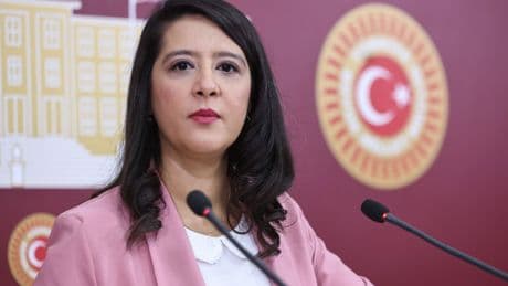 EMEP Milletvekili Sevda Karaca: “Araban’daki yangın sosyal felakettir, köylünün zararları giderilsin”