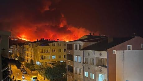 Orman yangınlarına soruşturma: 21 kişi tutuklandı, 47 kişiye adli kontrol