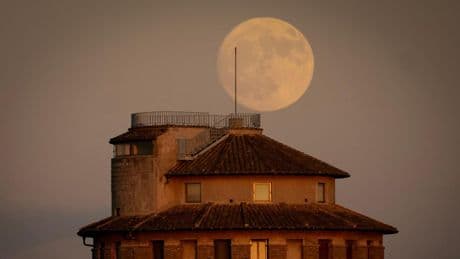 Festival 'Guru Purnima', hutíes contra EEUU, encierro de los Sanfermines y otras imágenes del día.