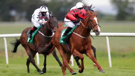 Newsboy’s horseracing tips for Friday’s six meetings, including Thirsk Nap