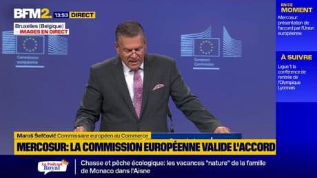 Mercosur: "un des accords les plus ambitieux jamais conclus pour protéger le secteur agroalimentaire européen" pour Bruxelles