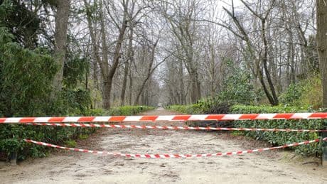 Nueve parques de Madrid, con zonas restringidas ante la alerta naranja por tiempo adverso