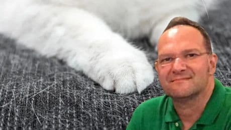 Ölüm nedeni 'kedi tüyü' denilmişti: Gerçek bambaşka çıktı