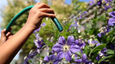 Scots urged to take shorter showers and avoid using hoses