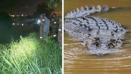 Horror as fisherman mauled to death in front of his family after ‘catching’ a crocodile