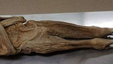 Shockingly intact mummy found perfectly preserved after bizarre ‘rectal twigging’ method scientists have never seen