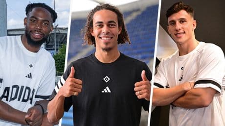 Woher das Geld für die Stars kommt  - Die Wahrheit über die HSWOW-Transfers