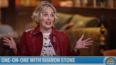 Sharon Stone slams ‘Basic Instinct’ reboot: ‘Good f–king luck’
