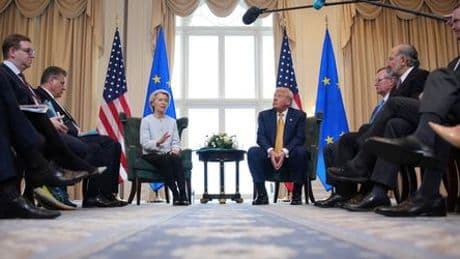 Zoll-Deal zwischen EU und den USA: Beim Handel gilt jetzt wieder das Gesetz des Dschungels
