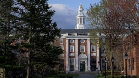 «Harvard traverse une crise financière»: les facs américaines contraintes de céder leurs parts dans les fonds d’investissement