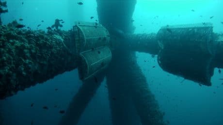Ocean Ecostructures capta tres millones y abre en Oriente Próximo