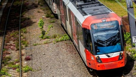 KVB: Grüne fordern Tempolimit in Kölner Südstadt – Eltern in Sorge