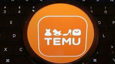 L'Ue: Temu vendere prodotti illegali