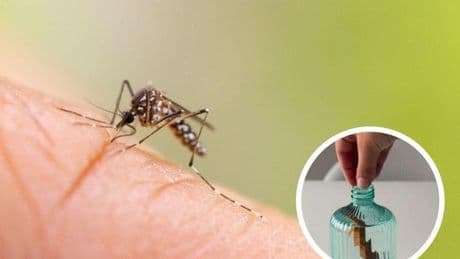 Una influencer bilbaína comparte el mejor antimosquitos casero para el verano: «Económico y fácil de hacer»