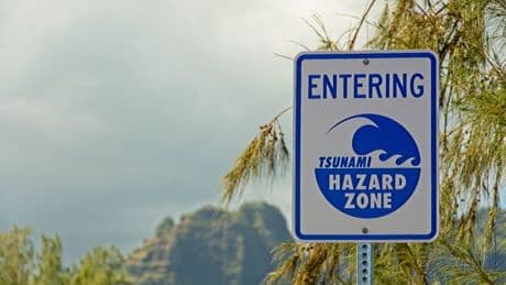 'My wedding in Hawaii turned to chaos as panicked guests received tsunami alert'