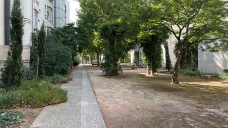 "C'est dangereux pour les enfants": un quartier de Lyon infesté par les cadavres de rats