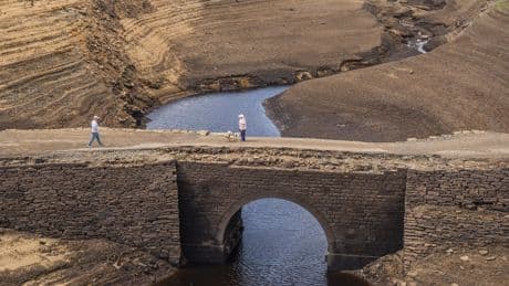 Overhaul water regulators into one single body, landmark review recommends