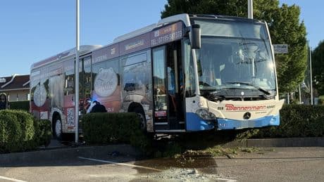 Hitze schuld am Unfall? - Busfahrerin kollabiert am Steuer