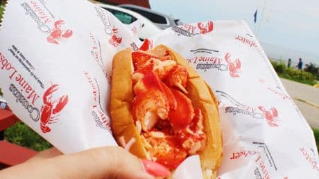 I went to Maine and ranked 5 famous lobster rolls. My favorite was served up on the water's edge.