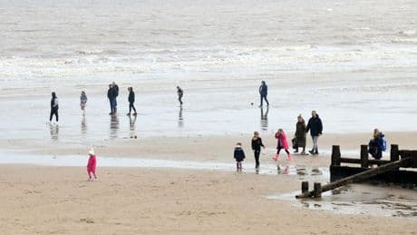 UK seaside warning as venomous creature buries itself under Britain's beaches