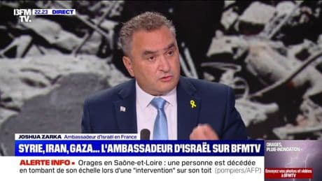 "Un cessez-le-feu à Gaza est possible dès qu'ils libèrent nos otages", déclare l'ambassadeur d'Israël en France