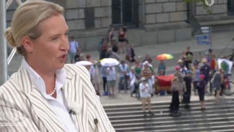 Hilfloses Weidel-Interview offenbart brisante Polit-Pleite in Deutschland