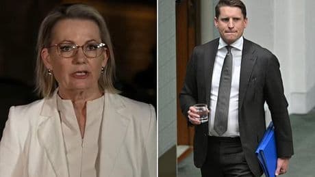 It's official - the stalking of Sussan Ley has begun... as 'future leader' sets off a bomb: PETER VAN ONSELEN