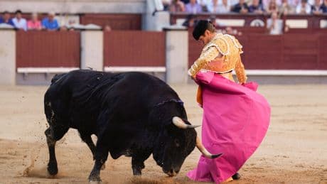 Al Alimón: Borja Jiménez demuestra en Las Ventas sus ganas de &quot;comerse el mundo&quot; y corta una oreja