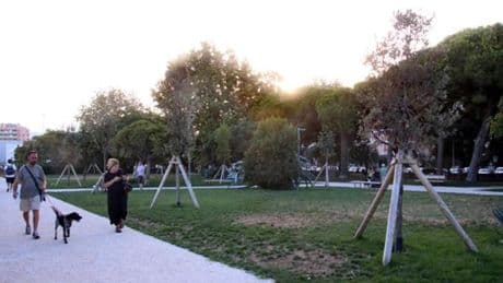 Alberi in città, Savona la migliore in Europa. Rapporto piante-superficie, La Spezia supera Genova