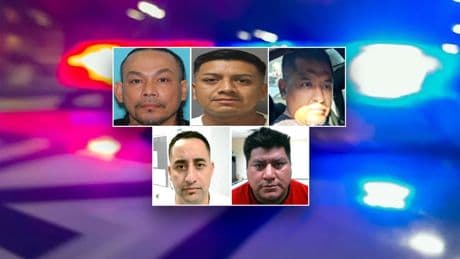 Illegal who conspired to bludgeon teen to death with baseball bat among latest ICE roundups