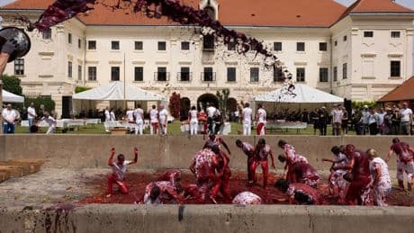 Ritorno estatico al Teatro delle Orge e dei Misteri, ultima festa di Nitsch