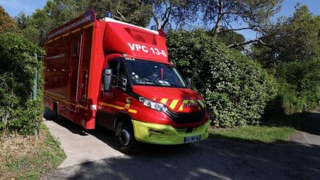 Foudre sur un zoo : un phénomène qui fait de rares victimes en France