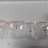 Urgent warning issued over dangerous fungus smuggled into US by Chinese nationals