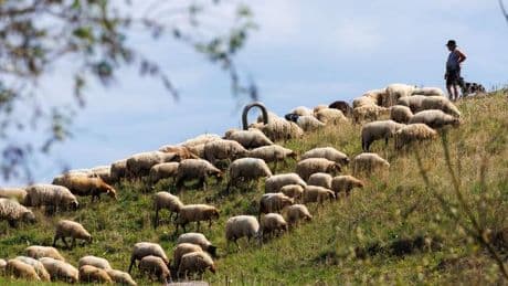 Wetteraussichten: Sonne satt zum Wochenstart