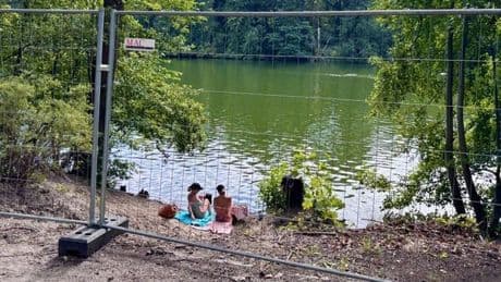 Zaun und Bußgeld am Plötzensee: Wenn nichts hilft, droht Badeverbot