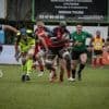 Rugby - Nationale 2. Qualifié pour la finale, le Niort RC avait bien préparé son affaire